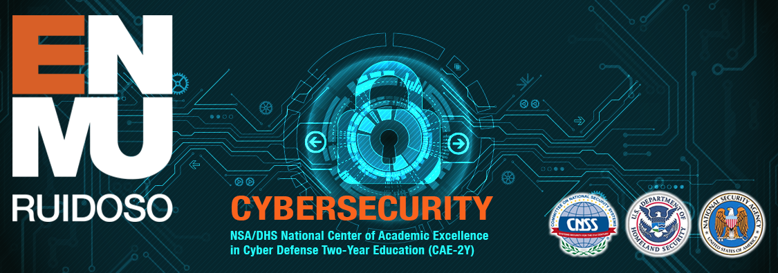 whatcom community college cyber security courses