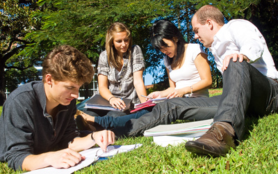 4 students study on lawn