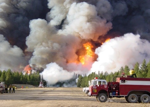 A blazing forest fire