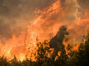 A firefighter confronts a wall of flames