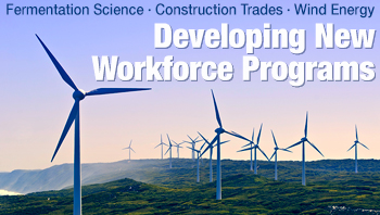 "Developing Workforce Programs" photo of large windmills