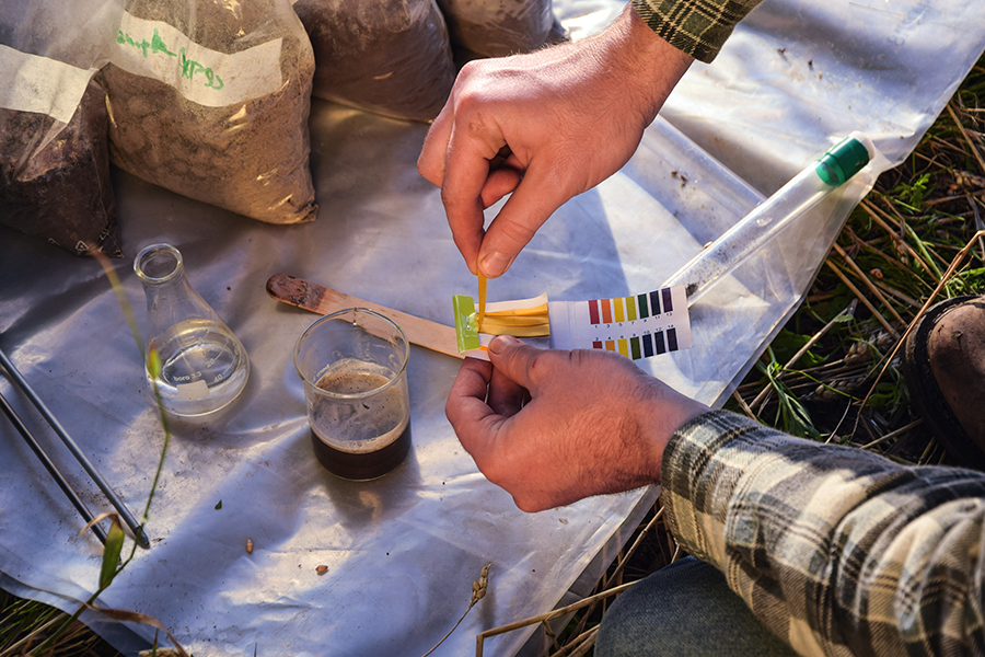 Photo of person testing soil/water with test strips